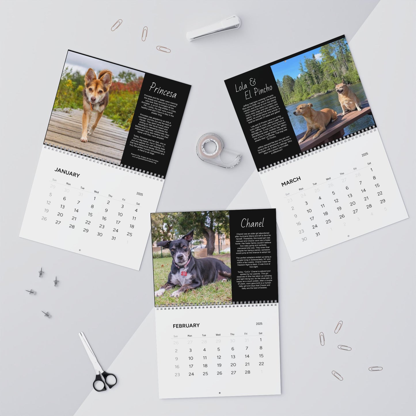 Sato Stories Wall Calendars (2024)