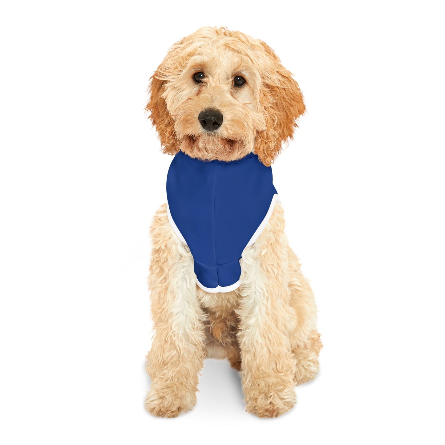 Rescue Pet Hoodie | Cozy Dog Sweater, Cute Pet Apparel, Animal Lover Gift, Stylish Dog Outfit, Pet Adoption Celebration Apparel