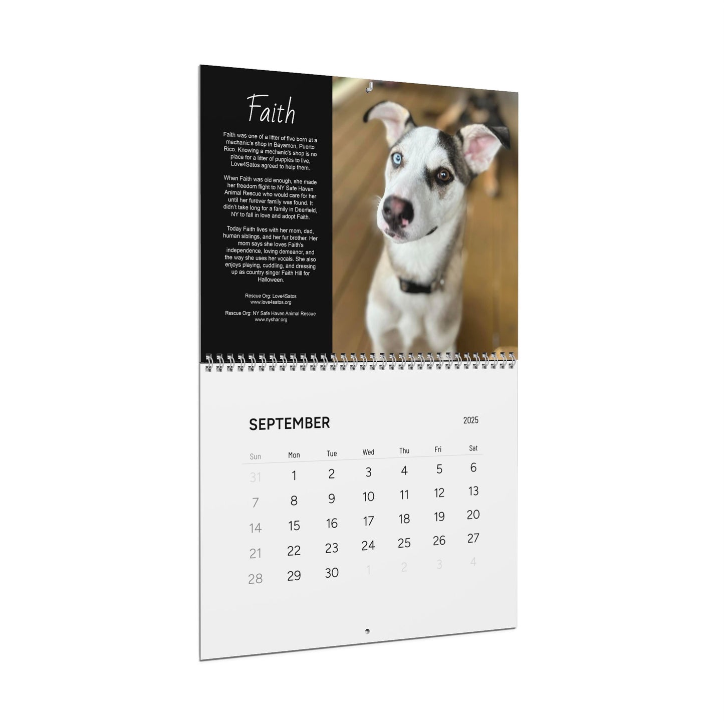 Sato Stories Wall Calendars (2024)