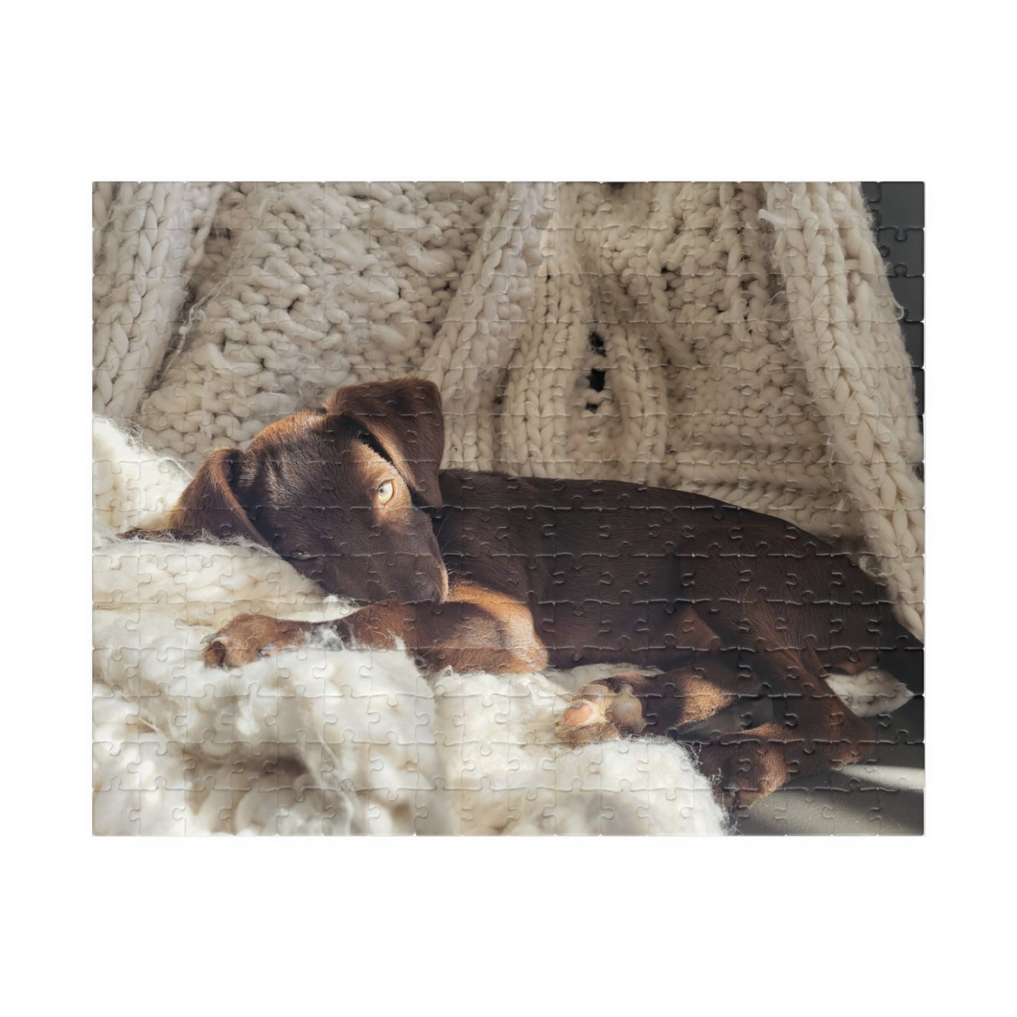 Cozy Puppy Nap Jigsaw Puzzle — Photo Puzzle (110/252/520/1014 pcs)