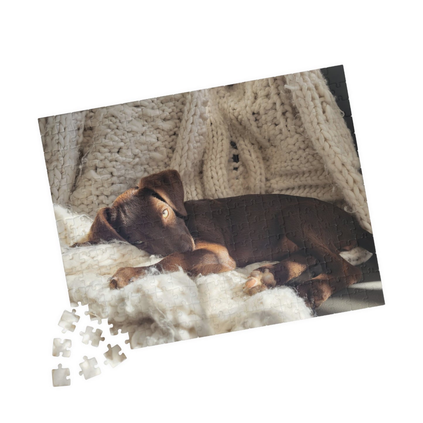 Cozy Puppy Nap Jigsaw Puzzle — Photo Puzzle (110/252/520/1014 pcs)