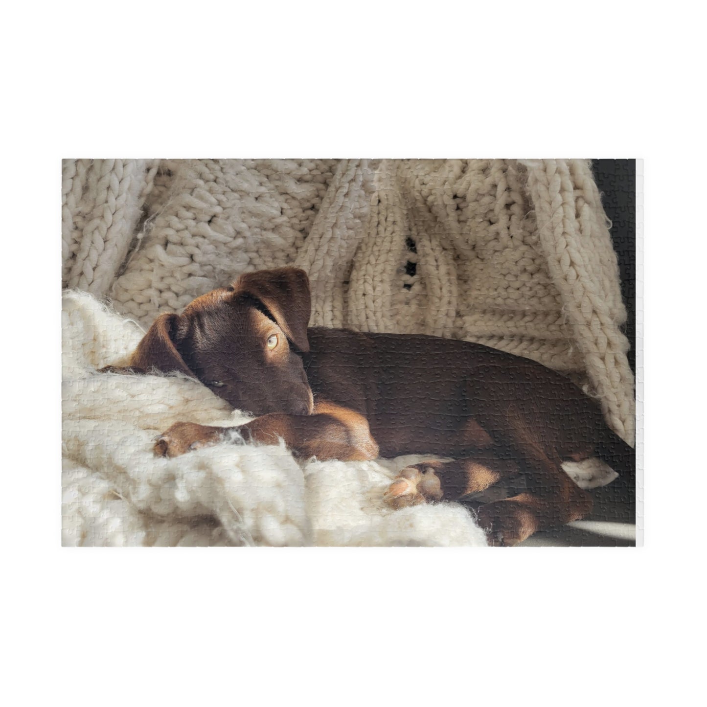 Cozy Puppy Nap Jigsaw Puzzle — Photo Puzzle (110/252/520/1014 pcs)