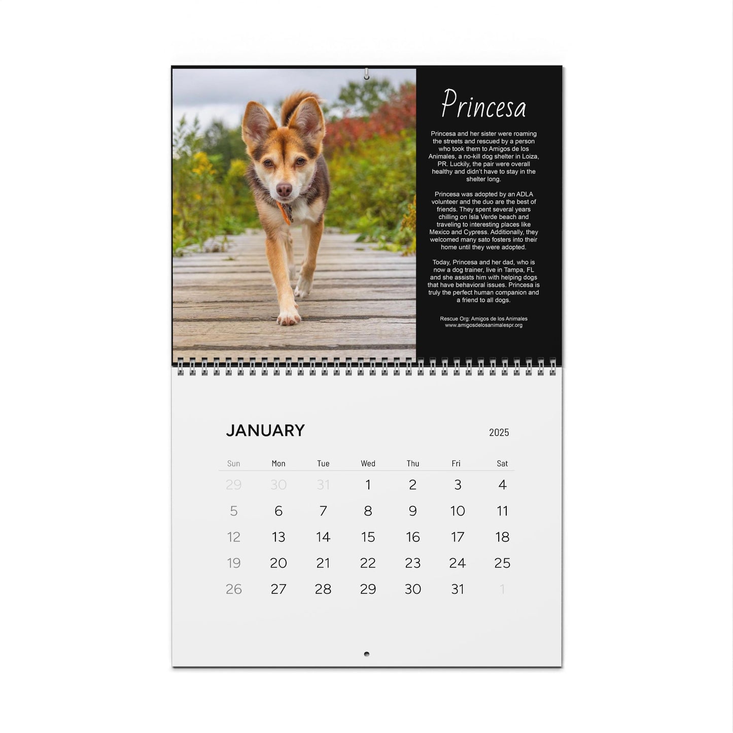 Sato Stories Wall Calendars (2024)