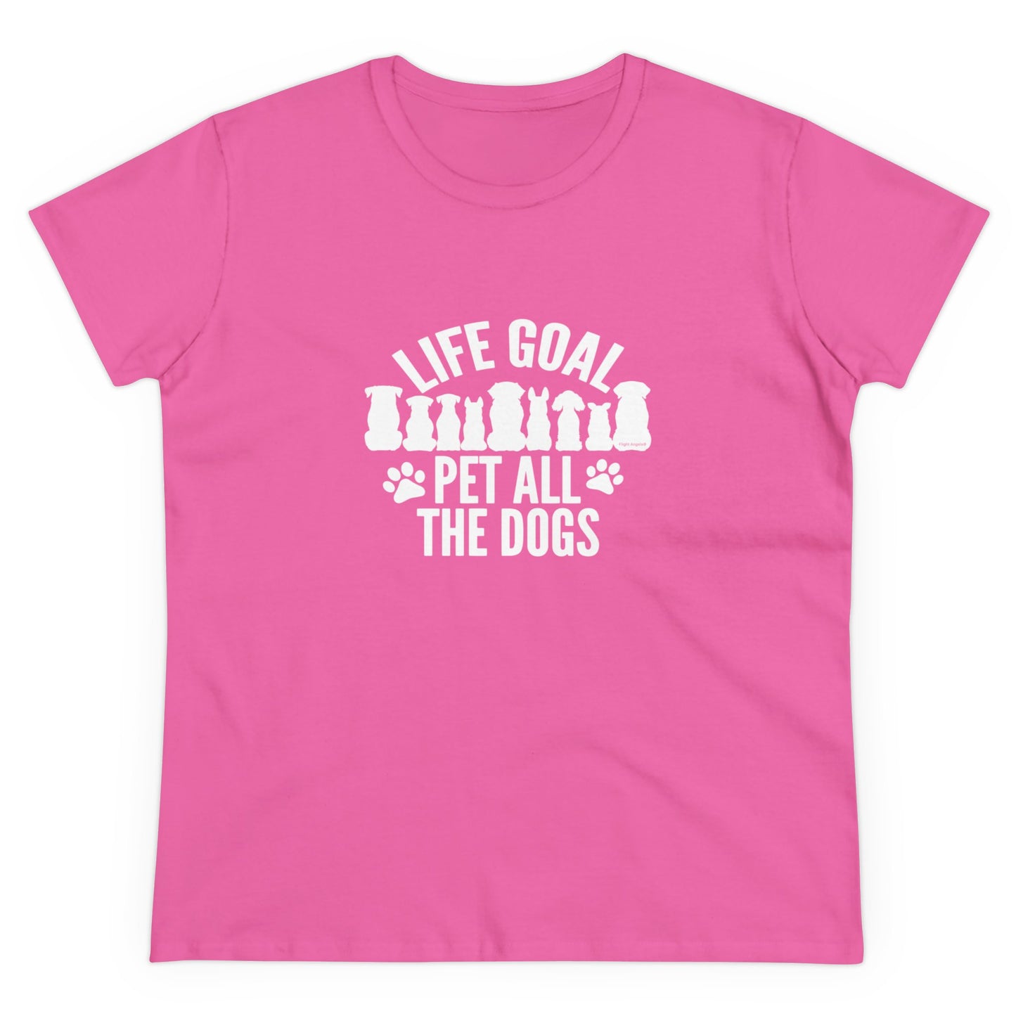 Life Goal Women's Tee