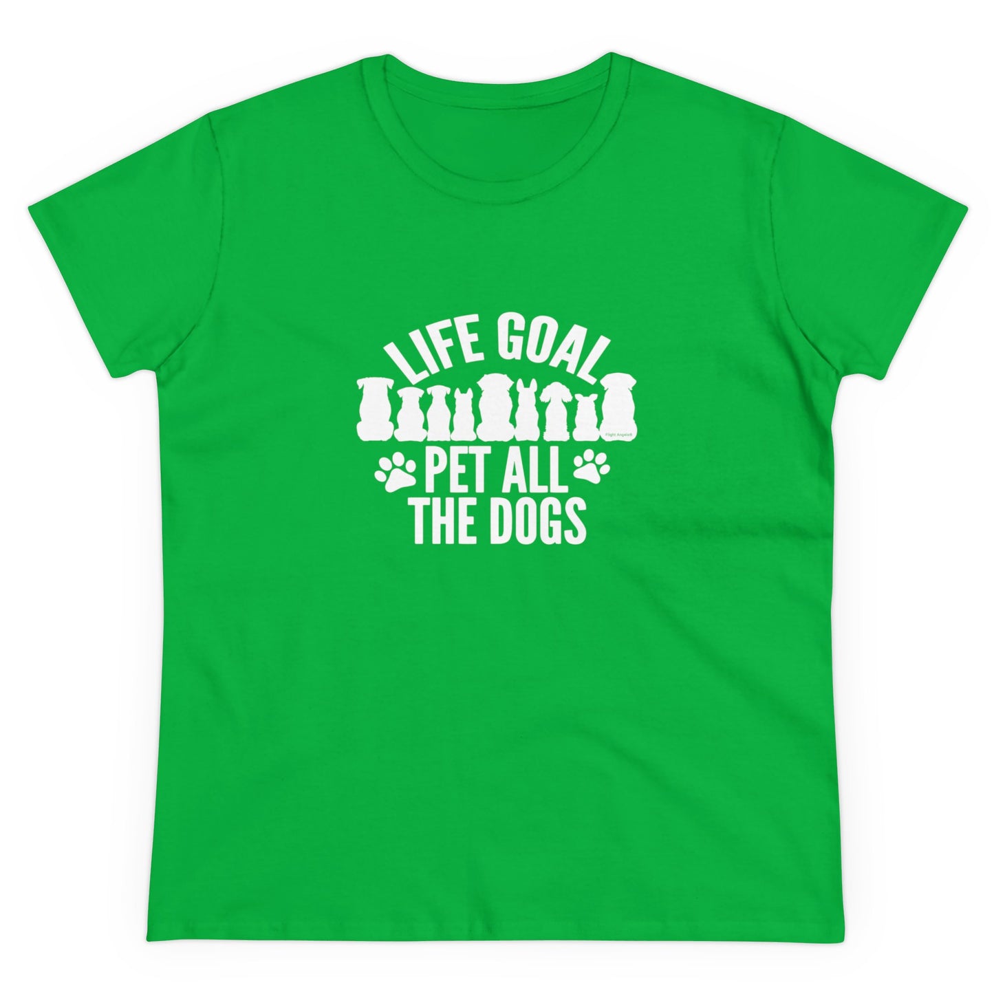 Life Goal Women's Tee